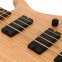 BAS GİTAR ACTION (DELUX ), SWAMP ASH KASA, OPEN PO