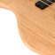 BAS GİTAR ACTION 5 TELLİ (DELUX ), SWAMP ASH KASA,