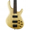 BAS GİTAR ACTION 5 TELLİ (DELUX ), SWAMP ASH KASA,